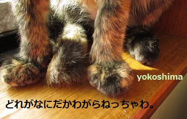2013 129はな足