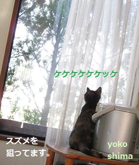 2013 1213はなケケケ