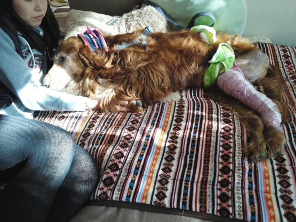 201312011119482f9.jpg