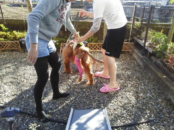 201312011119487da.jpg