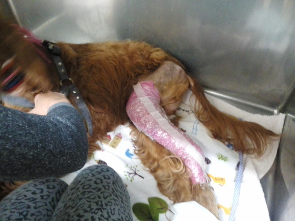 20131201111948eeb.jpg