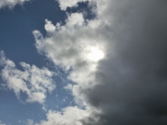 雲