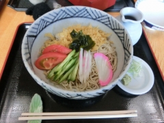 冷やしたぬき