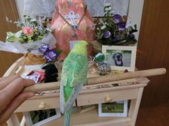 お参り