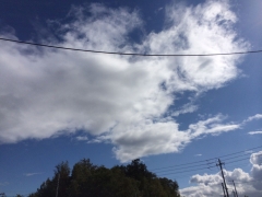 雲