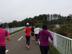 ランスタート