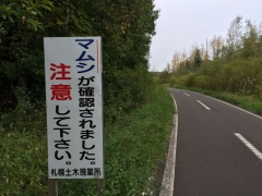 マムシに注意
