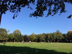 いつもの公園