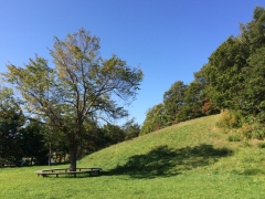 公園はじの丘