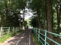 白石CR