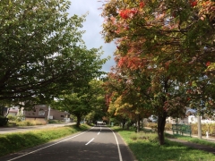 白石CR