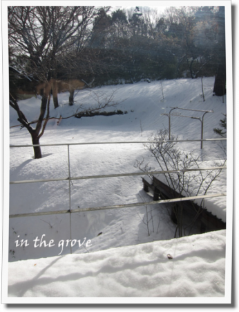14020707.png