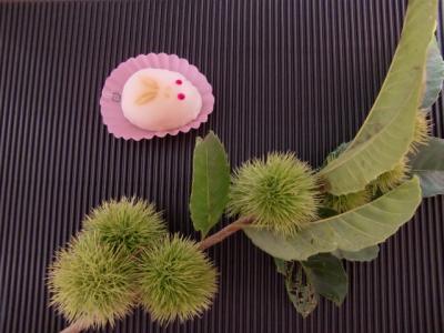 多分電柱の陰に