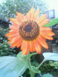 20110831 003