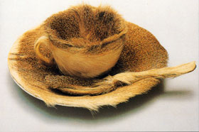 人気提案 Meret 英語 メレット・オッペンハイム Oppenheim Parkett 1989 画集