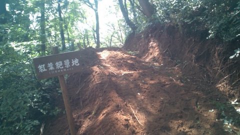 20111012125319.jpg