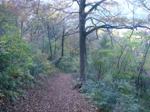 DSC00036.jpg