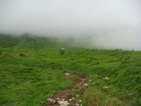 DSC01860.jpg