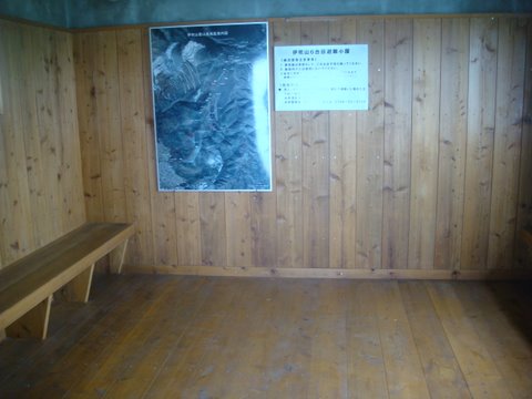 DSC01915.jpg