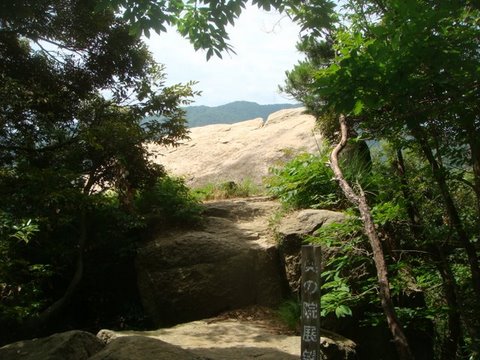 DSC02160.jpg