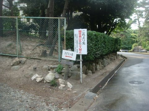 DSC02259.jpg