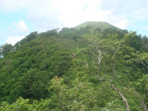 DSC02491.jpg