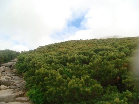 DSC02673.jpg