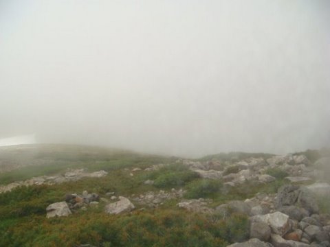 DSC02700.jpg