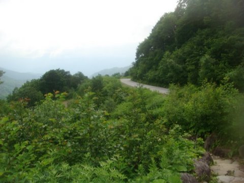 DSC02767.jpg