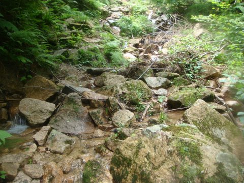 DSC02932.jpg