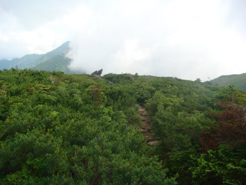 DSC03169.jpg