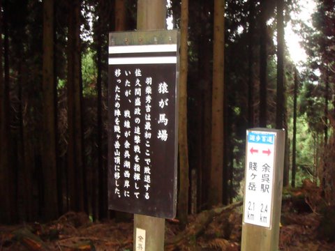 DSC03765.jpg