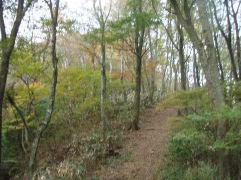 DSC03776.jpg