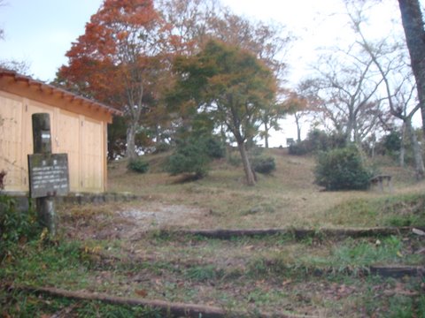 DSC03780.jpg