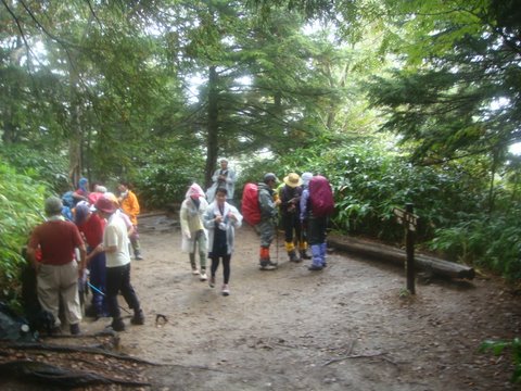 DSC04173.jpg