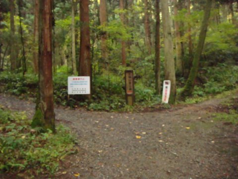 DSC04174_20111210112015.jpg