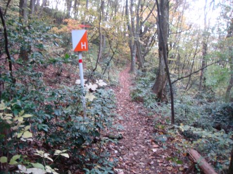 DSC04176_20111210112014.jpg