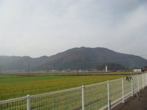 DSC04415.jpg