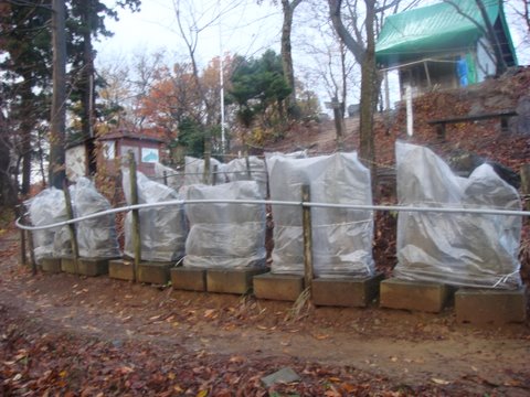 DSC04605.jpg