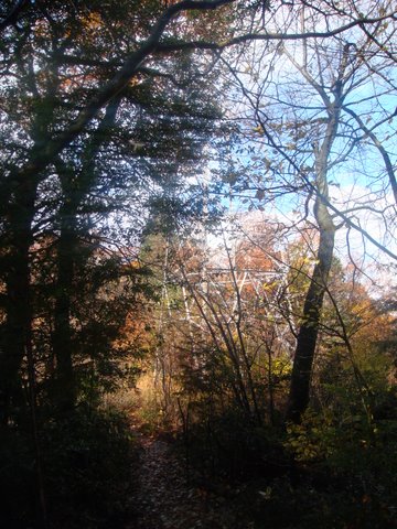 DSC04613.jpg
