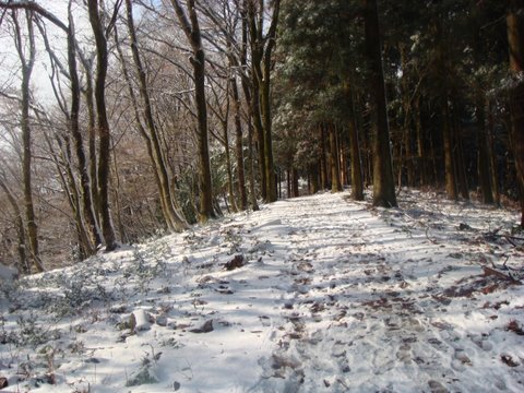 DSC04643.jpg
