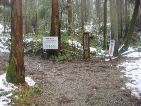 DSC04688.jpg