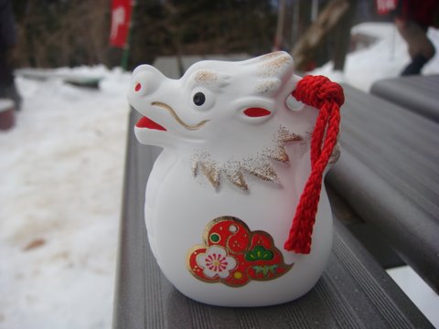 DSC04732.jpg