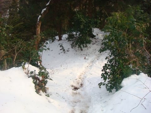 DSC04748.jpg