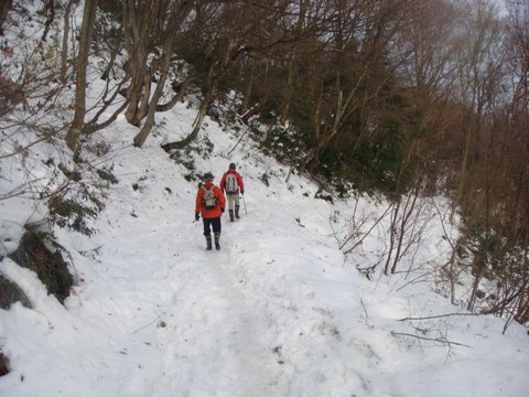 DSC04752.jpg