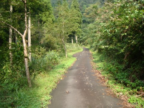DSC09476.jpg