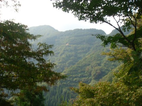 DSC09494.jpg