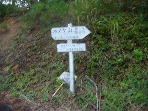 DSC09543.jpg