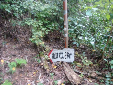 DSC09689.jpg
