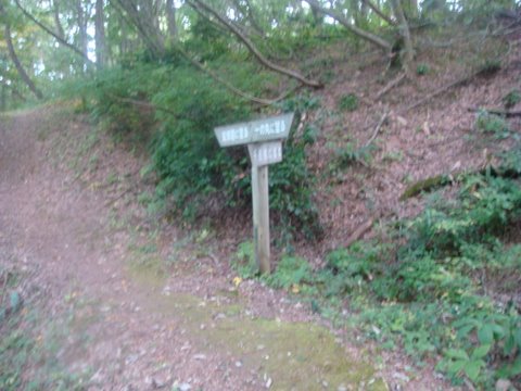 DSC09699.jpg